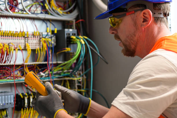 Best Electrician for Home Renovation  in El Jon, CA